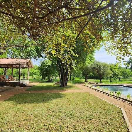 Hide Yala Bed & Breakfast Tissamaharama Exterior photo