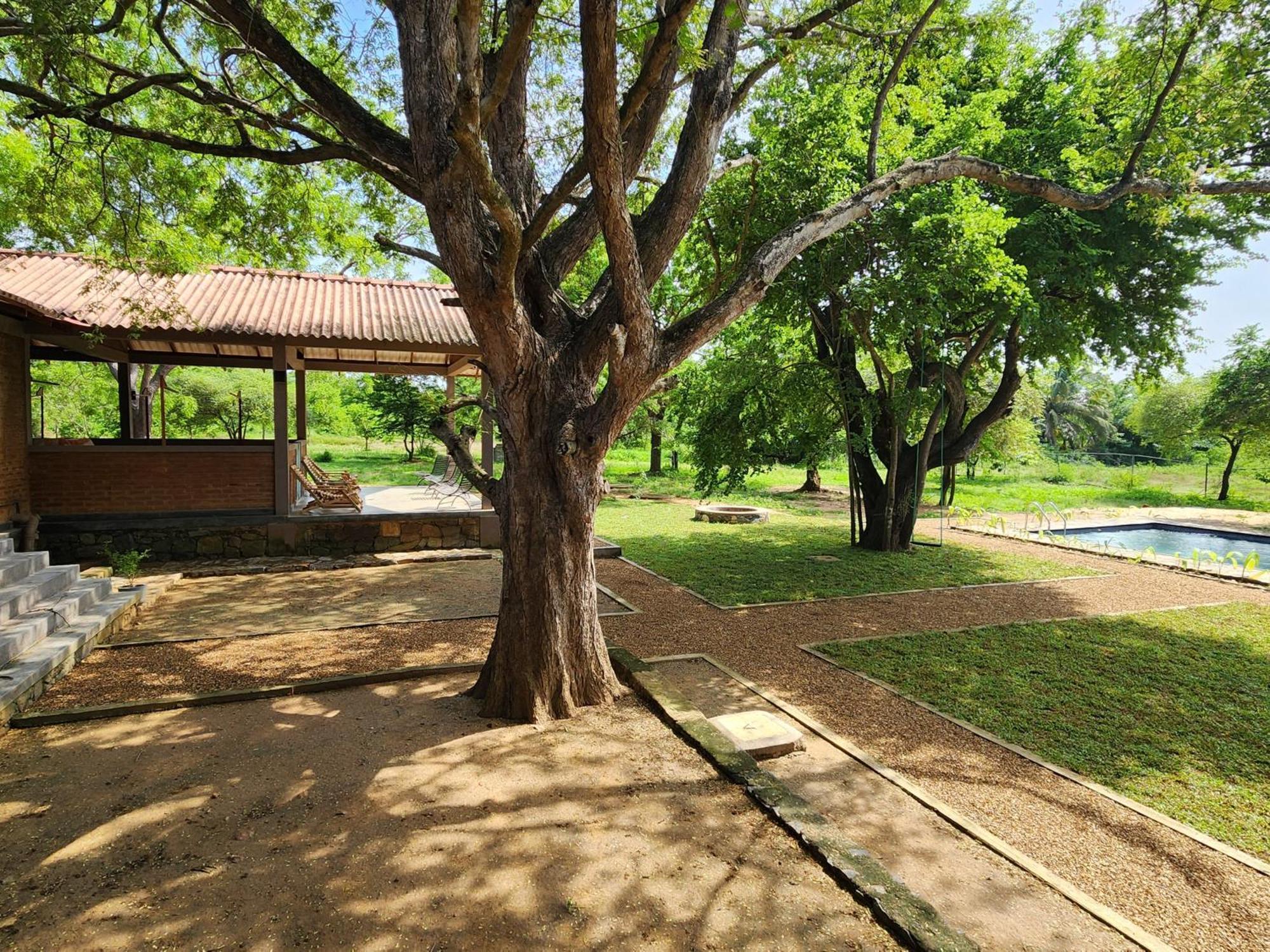 Hide Yala Bed & Breakfast Tissamaharama Exterior photo